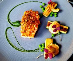 Academy Plaza Hotel | Dublin | Plaza Bar & Grill Breaded Salmon Dinner